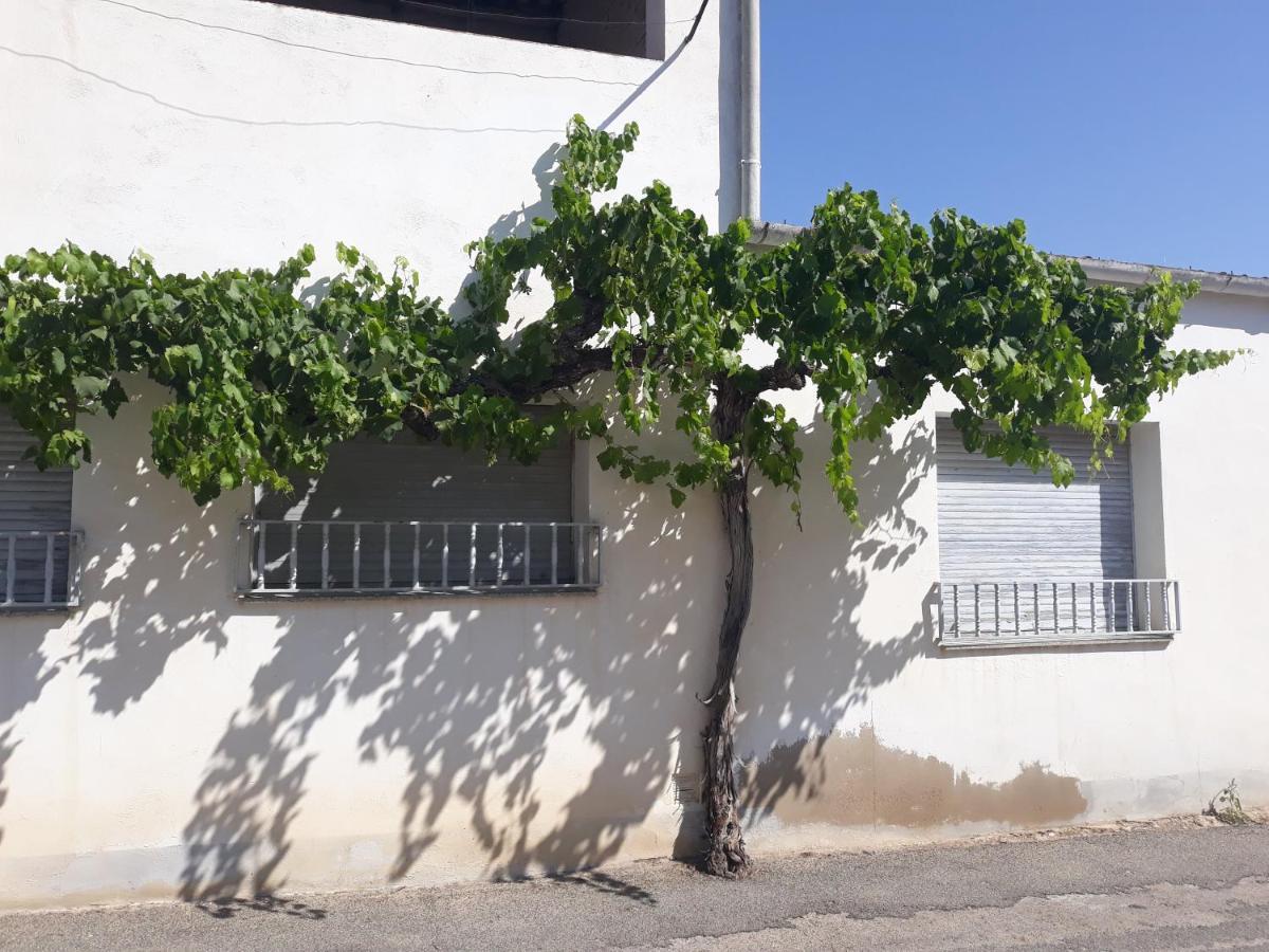 Casa La Foradada Bed and Breakfast Corbera Εξωτερικό φωτογραφία