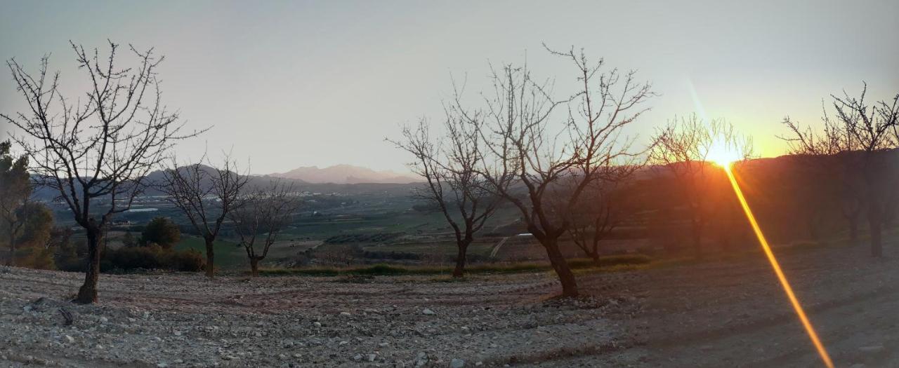 Casa La Foradada Bed and Breakfast Corbera Εξωτερικό φωτογραφία