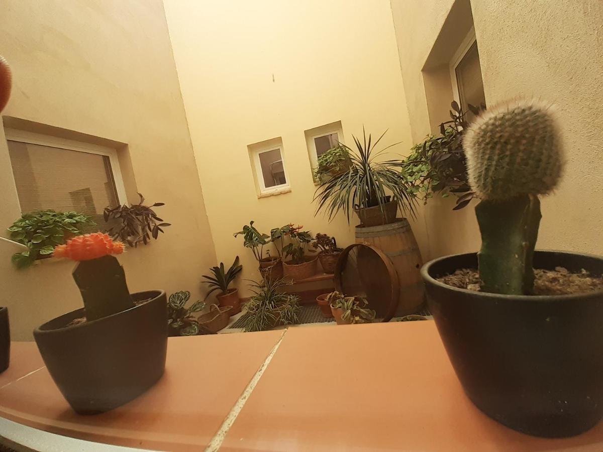 Casa La Foradada Bed and Breakfast Corbera Εξωτερικό φωτογραφία